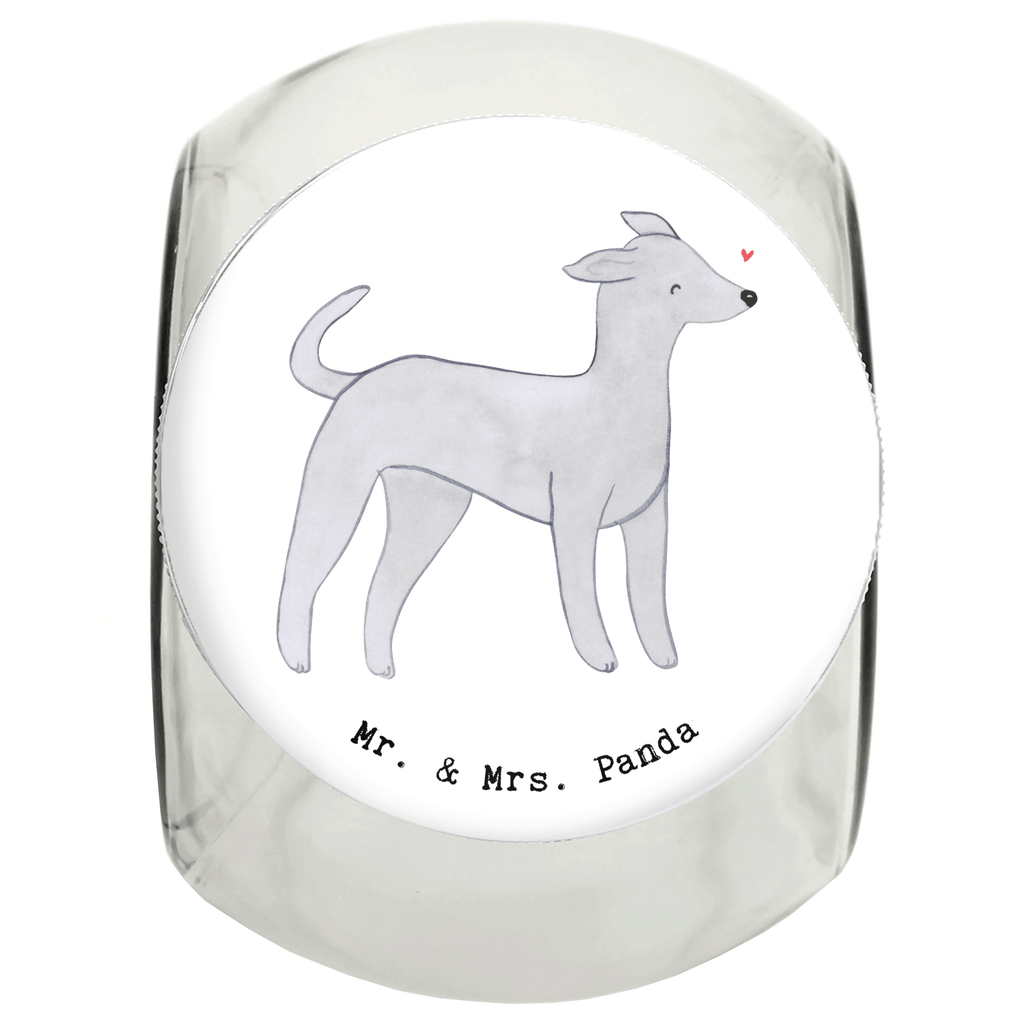 Leckerli Glas Italienisches Windspiel Moment Leckerli Glas, Leckerli Glas Hund, Leckerli Glas Katze, Leckerli Dose, Hundeleckerlies Behälter, Hund, Hunderasse, Rassehund, Hundebesitzer, Geschenk, Tierfreund, Schenken, Welpe, Italienisches Windspiel, Windhund, Italian Greyhound