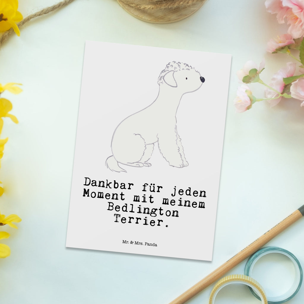 Postkarte Bedlington Terrier Moment Postkarte, Karte, Geschenkkarte, Grußkarte, Einladung, Ansichtskarte, Geburtstagskarte, Einladungskarte, Dankeskarte, Ansichtskarten, Einladung Geburtstag, Einladungskarten Geburtstag, Hund, Hunderasse, Rassehund, Hundebesitzer, Geschenk, Tierfreund, Schenken, Welpe, Bedlington Terrier, Terrier