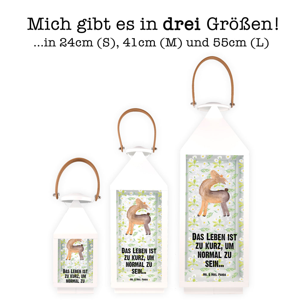 Deko Laterne Lama Stolz Gartenlampe, Gartenleuchte, Gartendekoration, Gartenlicht, Laterne kleine Laternen, XXL Laternen, Laterne groß, Lama, Alpaka, Lamas, Außenseiter, Anders, Neustart, stolz, Hippie, Freundin, Freundinnen, beste Freundin, Kumpel, Familie, Family