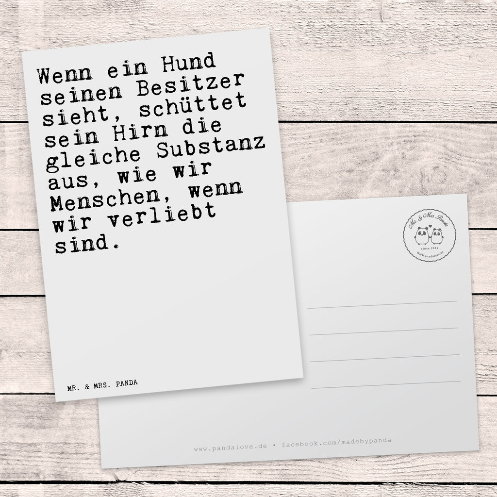 Postkarte Sprüche und Zitate Wenn ein Hund seinen Besitzer sieht, schüttet sein Hirn die gleiche Substanz aus, wie wir Menschen, wenn wir verliebt sind. Postkarte, Karte, Geschenkkarte, Grußkarte, Einladung, Ansichtskarte, Geburtstagskarte, Einladungskarte, Dankeskarte, Ansichtskarten, Einladung Geburtstag, Einladungskarten Geburtstag, Spruch, Sprüche, lustige Sprüche, Weisheiten, Zitate, Spruch Geschenke, Spruch Sprüche Weisheiten Zitate Lustig Weisheit Worte