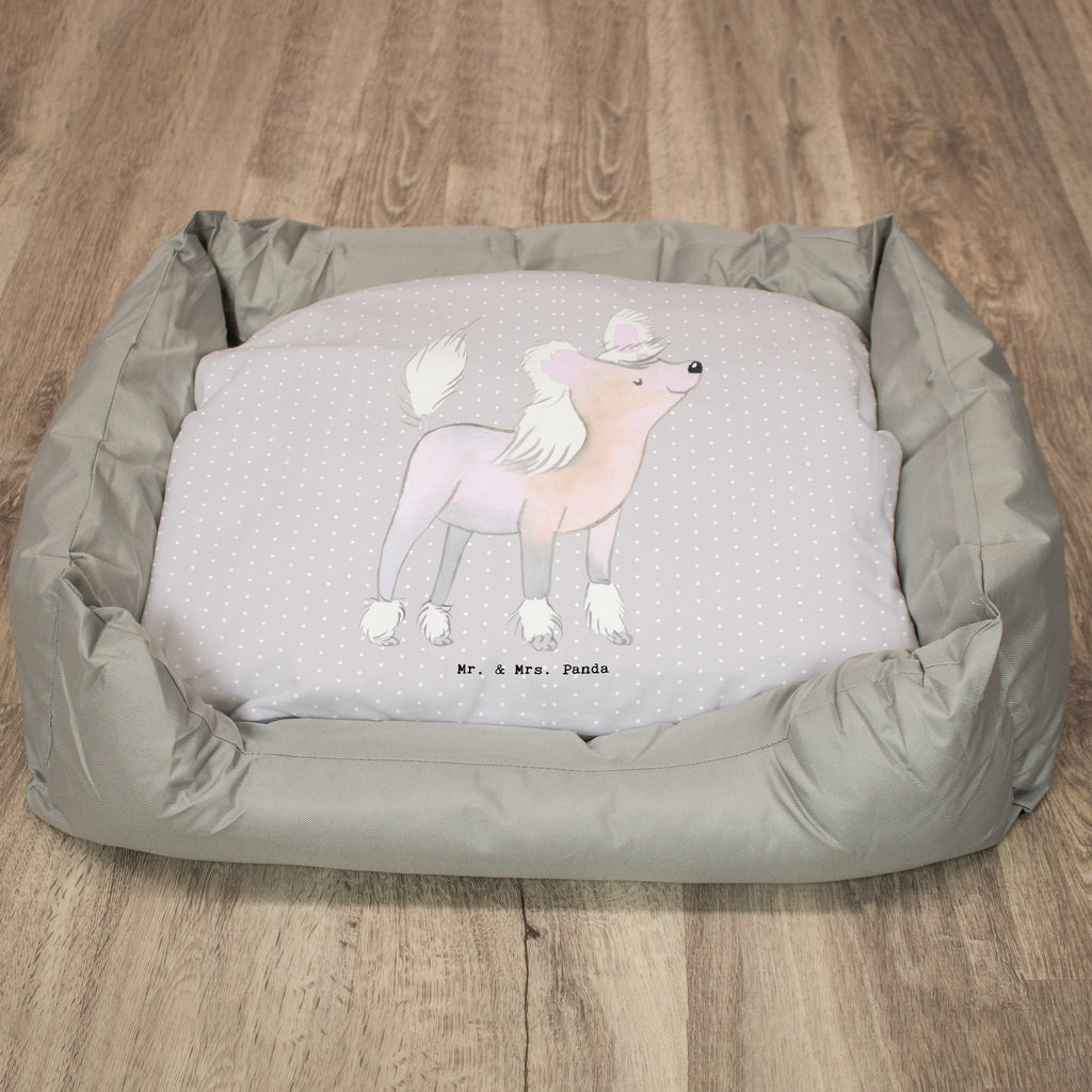 Hundebett Chinesischer Schopfhund Lebensretter Hundebett, Hundeliege, Liegeplatz, Hund, Hundekörbchen, Körbchen, Tierbett, Hundebett Luxus, Hundekissen, Hundesofa, Hundeschlafplatz, Hundebettchen, Hundemöbel, Hundedecke, Hunderasse, Rassehund, Hundebesitzer, Geschenk, Tierfreund, Schenken, Welpe, Chinesischer Schopfhund, Chinese Crested Dog