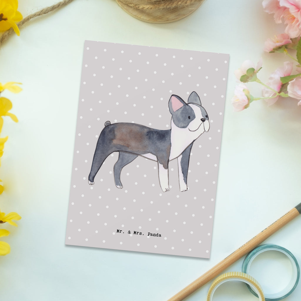 Postkarte Boston Terrier Lebensretter Postkarte, Karte, Geschenkkarte, Grußkarte, Einladung, Ansichtskarte, Geburtstagskarte, Einladungskarte, Dankeskarte, Ansichtskarten, Einladung Geburtstag, Einladungskarten Geburtstag, Hund, Hunderasse, Rassehund, Hundebesitzer, Geschenk, Tierfreund, Schenken, Welpe, Boston Terrier