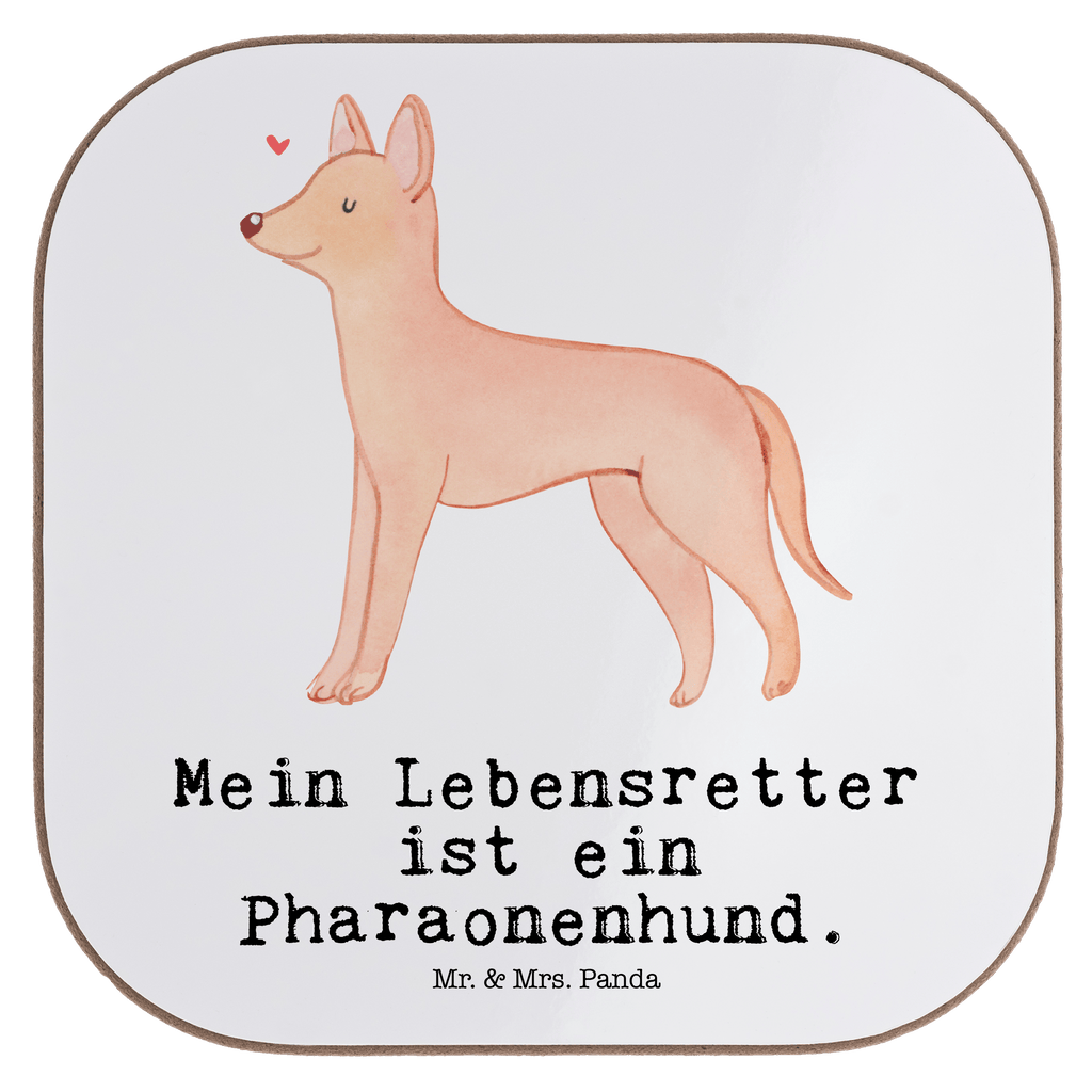 Quadratische Untersetzer Pharaonenhund Lebensretter Untersetzer, Bierdeckel, Glasuntersetzer, Untersetzer Gläser, Getränkeuntersetzer, Untersetzer aus Holz, Untersetzer für Gläser, Korkuntersetzer, Untersetzer Holz, Holzuntersetzer, Tassen Untersetzer, Untersetzer Design, Hund, Hunderasse, Rassehund, Hundebesitzer, Geschenk, Tierfreund, Schenken, Welpe, Pharaonenhund, Pharaoh Hound, Kelb tal-Fenek