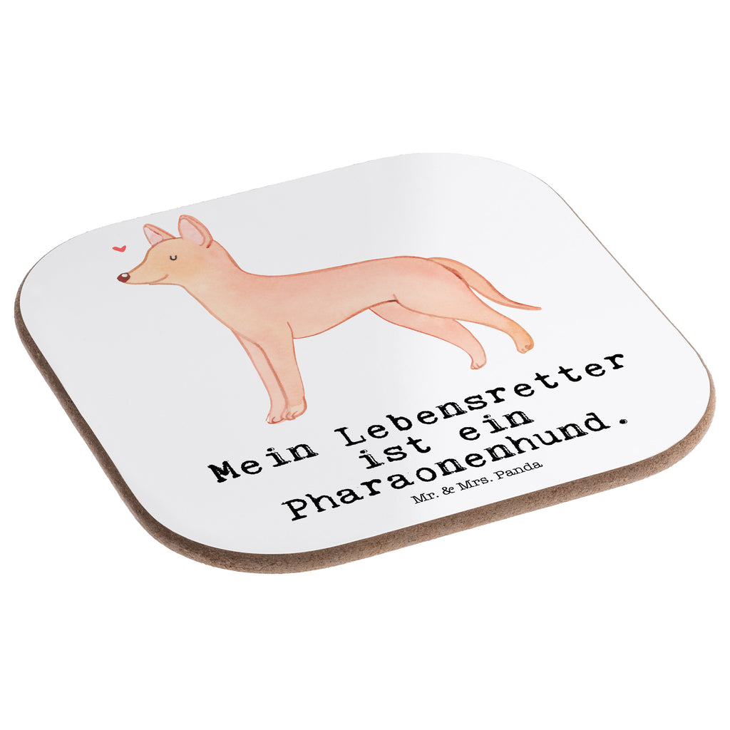 Quadratische Untersetzer Pharaonenhund Lebensretter Untersetzer, Bierdeckel, Glasuntersetzer, Untersetzer Gläser, Getränkeuntersetzer, Untersetzer aus Holz, Untersetzer für Gläser, Korkuntersetzer, Untersetzer Holz, Holzuntersetzer, Tassen Untersetzer, Untersetzer Design, Hund, Hunderasse, Rassehund, Hundebesitzer, Geschenk, Tierfreund, Schenken, Welpe, Pharaonenhund, Pharaoh Hound, Kelb tal-Fenek