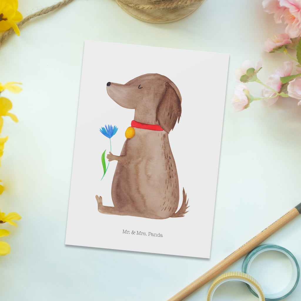 Postkarte Hund Blume Postkarte, Karte, Geschenkkarte, Grußkarte, Einladung, Ansichtskarte, Geburtstagskarte, Einladungskarte, Dankeskarte, Ansichtskarten, Einladung Geburtstag, Einladungskarten Geburtstag, Hund, Hundemotiv, Haustier, Hunderasse, Tierliebhaber, Hundebesitzer, Sprüche, Hunde, Frauchen, Hundeliebe