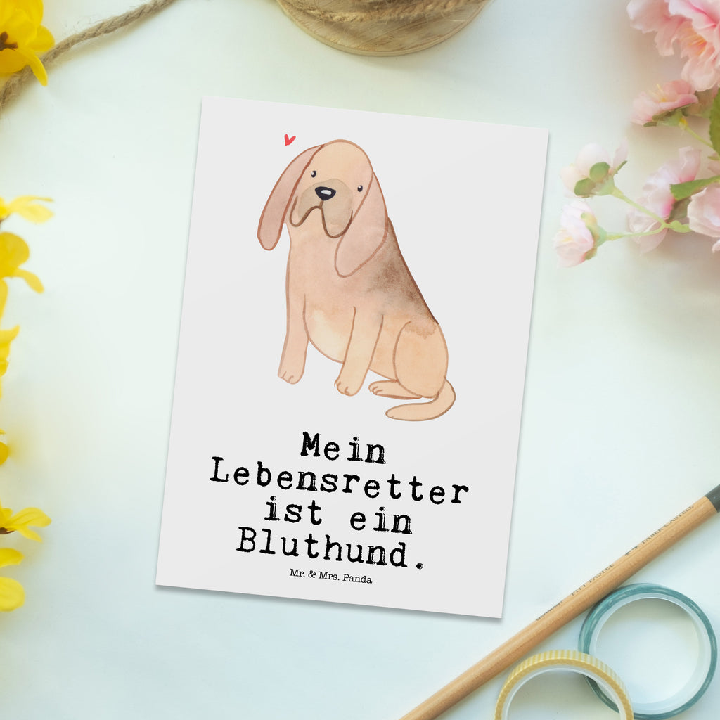 Postkarte Bloodhound Lebensretter Postkarte, Karte, Geschenkkarte, Grußkarte, Einladung, Ansichtskarte, Geburtstagskarte, Einladungskarte, Dankeskarte, Ansichtskarten, Einladung Geburtstag, Einladungskarten Geburtstag, Hund, Hunderasse, Rassehund, Hundebesitzer, Geschenk, Tierfreund, Schenken, Welpe, Bluthund, Bloodhound, St. Hubertushund, Chien de Saint Hubert