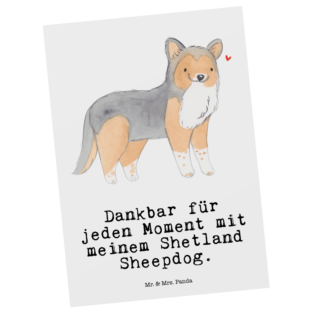 Postkarte Shetland Sheepdog Moment Postkarte, Karte, Geschenkkarte, Grußkarte, Einladung, Ansichtskarte, Geburtstagskarte, Einladungskarte, Dankeskarte, Ansichtskarten, Einladung Geburtstag, Einladungskarten Geburtstag, Hund, Hunderasse, Rassehund, Hundebesitzer, Geschenk, Tierfreund, Schenken, Welpe, Shetland Sheepdog, Sheltie