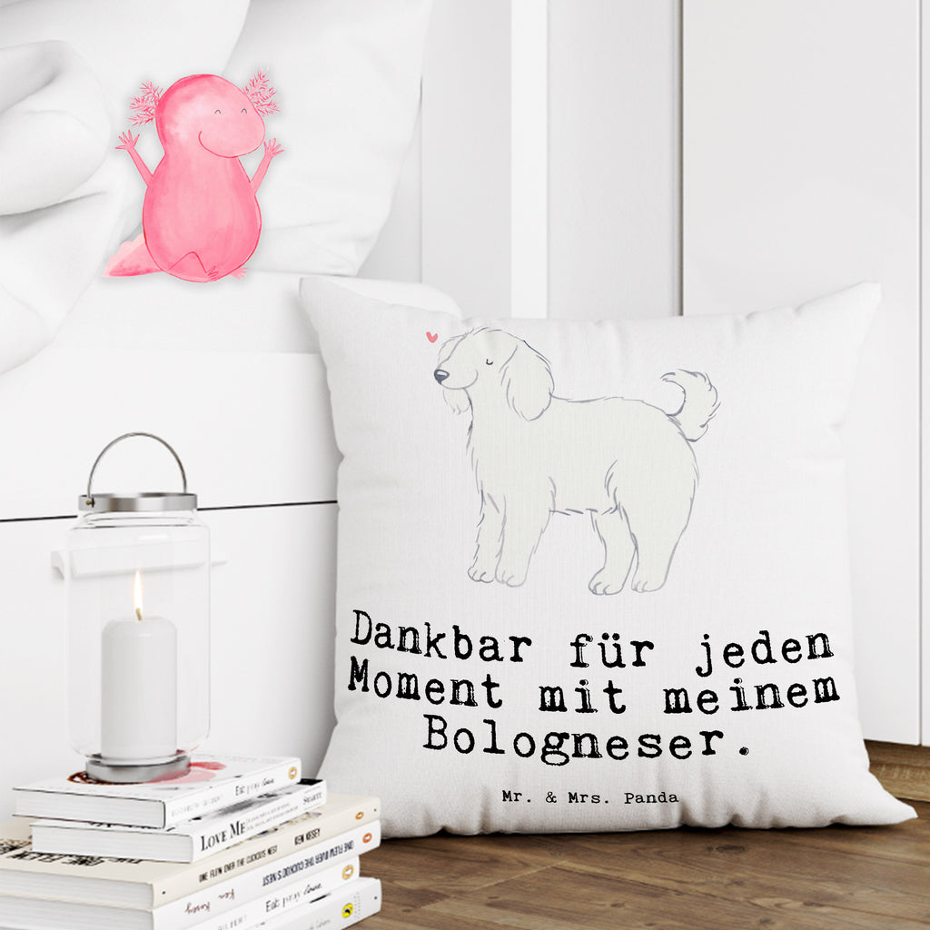 40x40 Kissen Bologneser Moment Kissenhülle, Kopfkissen, Sofakissen, Dekokissen, Motivkissen, Hund, Hunderasse, Rassehund, Hundebesitzer, Geschenk, Tierfreund, Schenken, Welpe, Bologneser