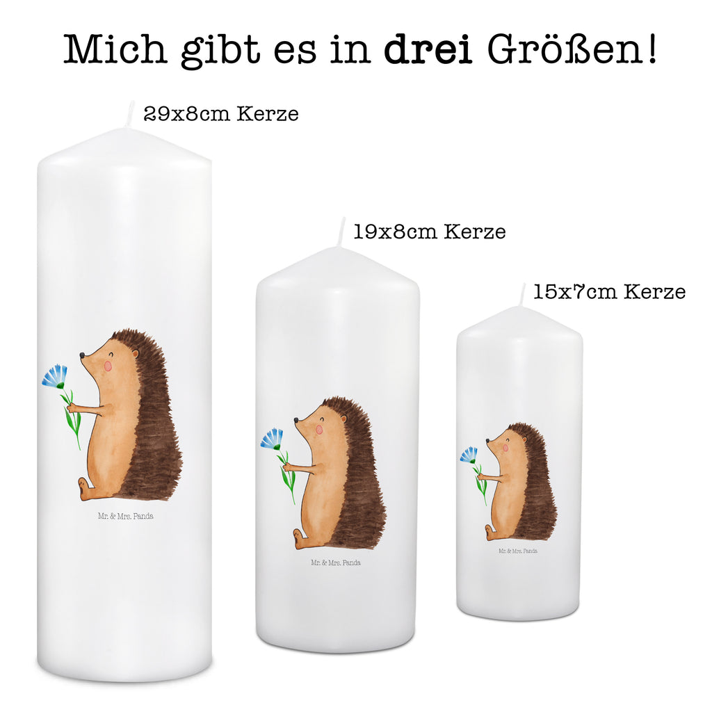 Kerze Igel mit Blume Kerze, Taufkerze, Kommunionskerze, Geburtstagskerze, Geschenk Kerze, Taufgeschenk Kerze, Kerze mit Druck, Besondere Kerze, Geschenkidee Kerze, Kerze für Kommunion, Geburtstag Kerze, Kommunion Kerze, Tiermotive, Gute Laune, lustige Sprüche, Tiere, Igel, Gute Besserung, Genesungswünsche, Krankheit, Krankenhaus, krank, Besuch