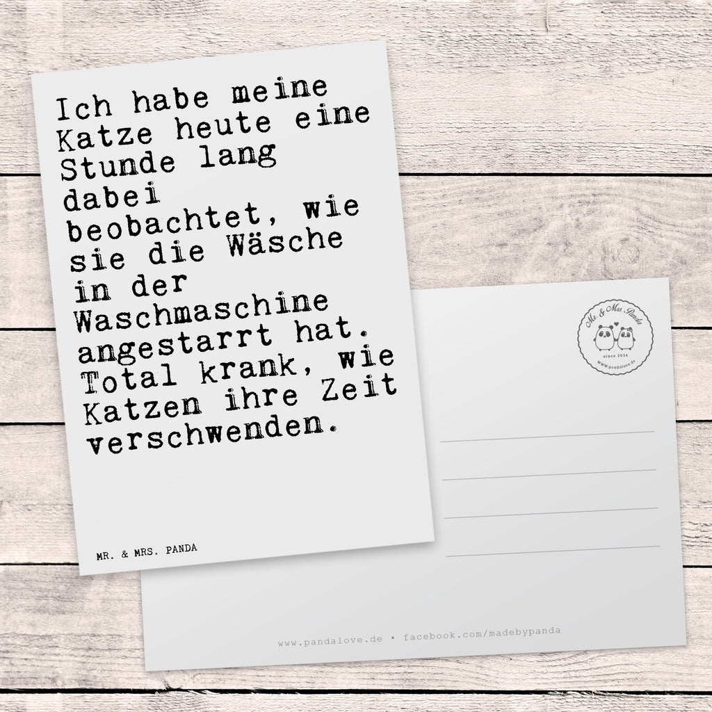 Postkarte Sprüche und Zitate Ich habe meine Katze heute eine Stunde lang dabei beobachtet, wie sie die Wäsche in der Waschmaschine angestarrt hat. Total krank, wie Katzen ihre Zeit verschwenden. Postkarte, Karte, Geschenkkarte, Grußkarte, Einladung, Ansichtskarte, Geburtstagskarte, Einladungskarte, Dankeskarte, Ansichtskarten, Einladung Geburtstag, Einladungskarten Geburtstag, Spruch, Sprüche, lustige Sprüche, Weisheiten, Zitate, Spruch Geschenke, Spruch Sprüche Weisheiten Zitate Lustig Weisheit Worte