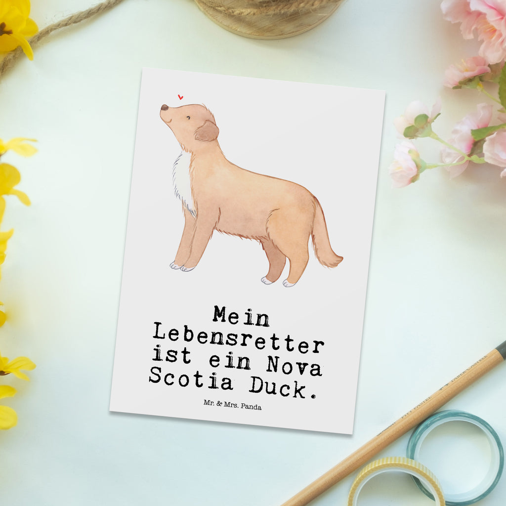 Postkarte Nova Scotia Duck Lebensretter Postkarte, Karte, Geschenkkarte, Grußkarte, Einladung, Ansichtskarte, Geburtstagskarte, Einladungskarte, Dankeskarte, Ansichtskarten, Einladung Geburtstag, Einladungskarten Geburtstag, Hund, Hunderasse, Rassehund, Hundebesitzer, Geschenk, Tierfreund, Schenken, Welpe, Nova Scotia Duck Tolling Retriever, Retriever