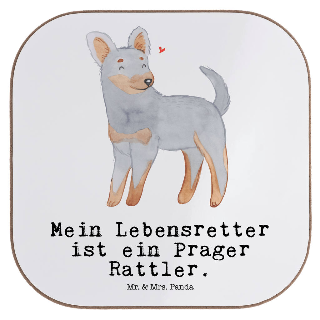 Quadratische Untersetzer Prager Rattler Lebensretter Untersetzer, Bierdeckel, Glasuntersetzer, Untersetzer Gläser, Getränkeuntersetzer, Untersetzer aus Holz, Untersetzer für Gläser, Korkuntersetzer, Untersetzer Holz, Holzuntersetzer, Tassen Untersetzer, Untersetzer Design, Hund, Hunderasse, Rassehund, Hundebesitzer, Geschenk, Tierfreund, Schenken, Welpe, Pincher, Prager Rattler